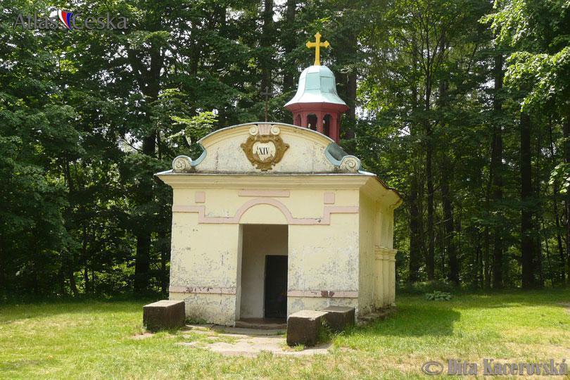 Chata Pod Tolstejnem Jiretin pod Jedlovou Exterior foto